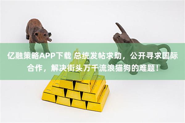 亿融策略APP下载 总统发帖求助，公开寻求国际合作，解决街头万千流浪猫狗的难题！